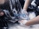 グラップ ヘアー メイク glap hair makeの写真