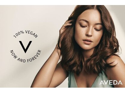 テラスアヴェダ(Terrace AVEDA)の写真