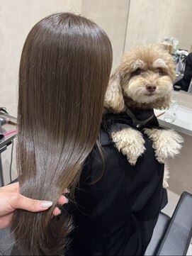 ドッグマニアピンチアオヤマ(DOGMANIA PiNCH AOYAMA) オリーブベージュカラー