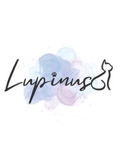 Lupinus【ルピナス】