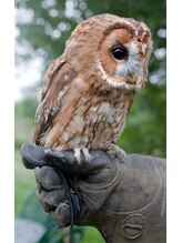 ヘアーガーデン プレジィール&nbsp;朝賀 沙織