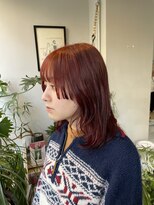 ノリト(norito)&nbsp;深みレッド×姫カット