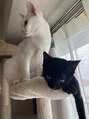 ロベック(Lobec SAKAE) 二匹の猫ちゃんが家族です♪白(あられちゃん)黒(おかきちゃん)