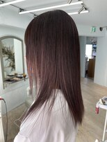 ピッポ(PIPPO) ボルドーカラー