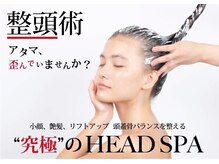 アンジュ ヘアー(Ange hair)の雰囲気（大人気の整頭術スパ）