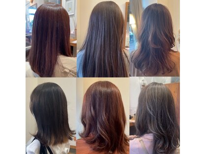 ロイ(ROI)の写真