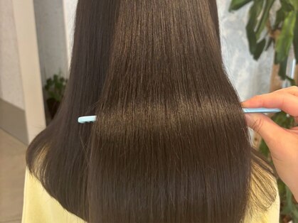 コモドルポ(comodo rupo)の写真