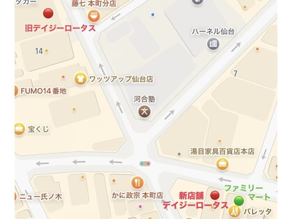 デイジーロータス(DAISYLOTUS)の写真