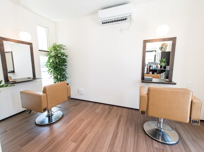 アーチヘアー(Arch hair)の写真