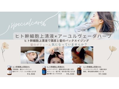 セン(SEN)の写真