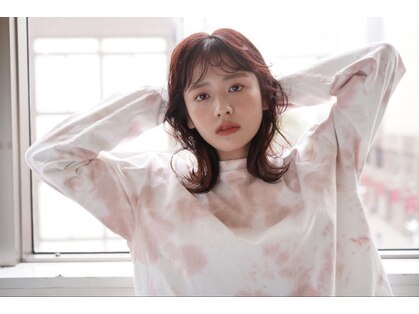 ザ ヘア ディードットログ(The hair D.Log)の写真