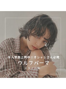 ホロ(hollo) ハンサムショートウルフパーマ