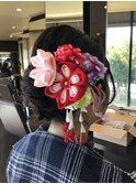 シニオンセット