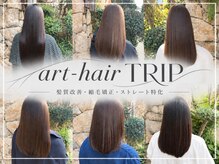 アートヘアートリップ(art hair TRIP)