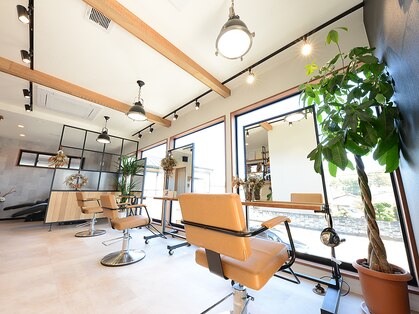 エヌヘアーファクトリー(n hair factory)の写真