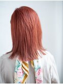 ノンレイヤーストレート【いわき】
