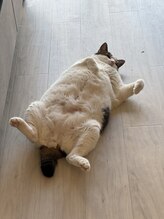 スタジオノブ(Studio nob)&nbsp;studio nob 