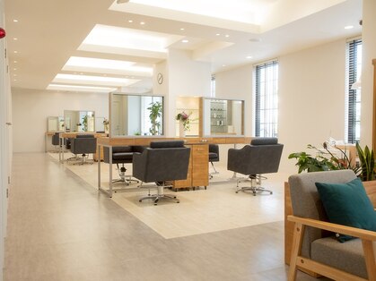 ソエル チトセ(SOEL CHITOSE)の写真