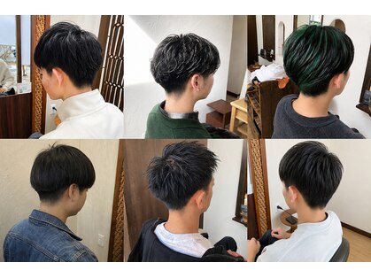 アオトソラの写真