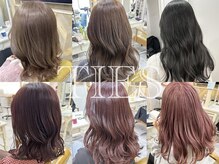 タイズ(TIES)