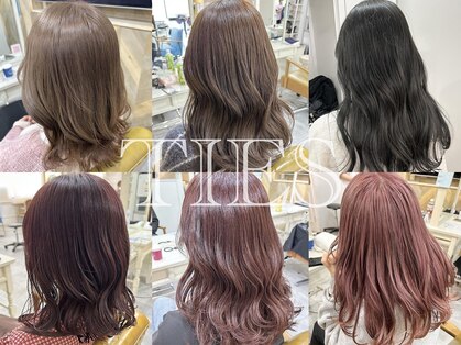 タイズ(TIES)の写真