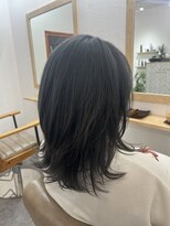 デイトゥデイトゥルーカラーズ(DAY TO DAY true colors)&nbsp;ダブルカラー／グレーシルバー