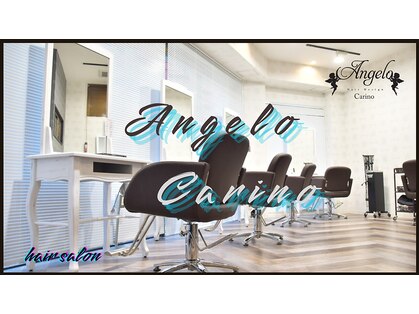 アンジェロ カリノ(Angelo Carino)の写真