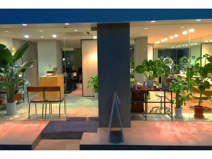 カロン(CALON)の写真