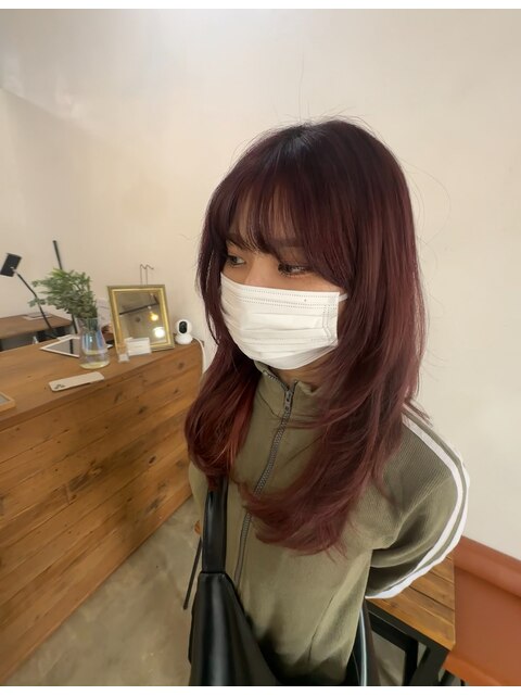 フルブリーチ　Burgundy color