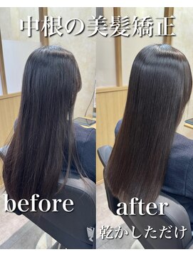 サンテ ヴィスタ(Sante ViSta) 美髪矯正で乾かしただけで叶う髪質改善