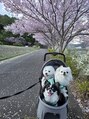 アトリエ ニココ 末広通店(atelier nicoco) わんこ3匹います♪