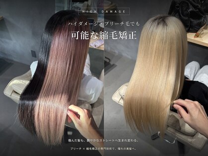 シンカ(shinka)の写真