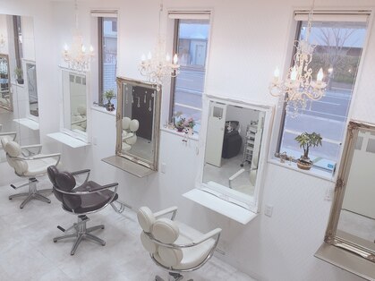 ビビッドヘアーコレクション(VIVID HAIR COLLECTION)の写真