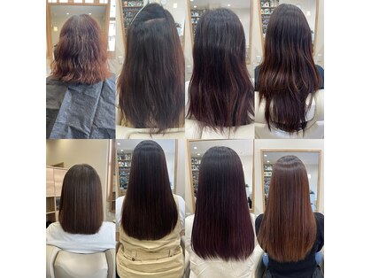 メロウヘアムーン(mellow hair moon)の写真