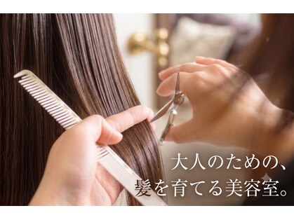 スパイス(Spice)の写真