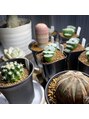 西本整髪 植物