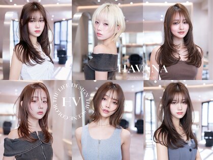 エースハバナ 渋谷(1 HAVANA)の写真