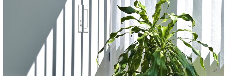 ジュノ 鹿児島中央店(Juno)のサロンヘッダー