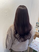 タエビスアリッサム(Taebis Alyssum) スプリングカラー