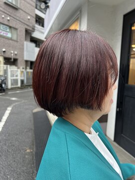 フィアート ヘアドレッシング サロン(Fiato Hairdressing Salon) ブラウンレッド×ショートボブ