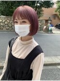 ピンクラベンダー