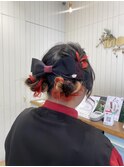 推しカラーツインお団子【金山】