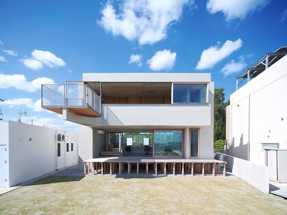 リトルバード(3 Little Birds)の写真