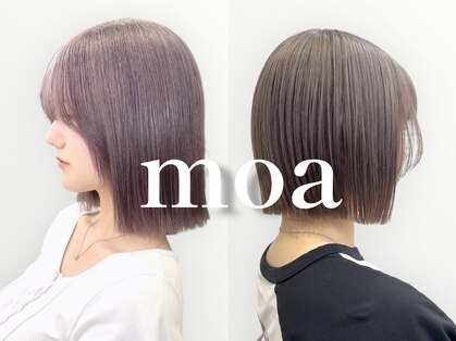 モア(moa)の写真