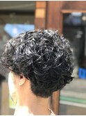 poodle curly