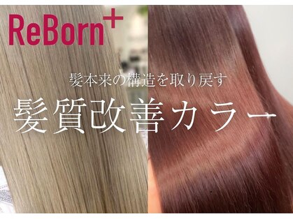 ソース 塚口(SOURCE)の写真