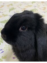 ハーモナイズ(HARMONIZE) 優来