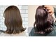 ヘア エピソード(Hair Episodes)の写真