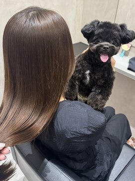 ドッグマニアピンチアオヤマ(DOGMANIA PiNCH AOYAMA) 艶髪