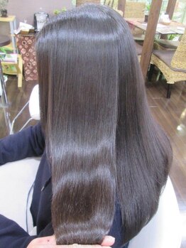 サイファー ヘアークリエイション(CIPHER Hair Creation)の写真/ヘアーサイクルを整え抜け毛、ボリュームを改善◎強髪プログラムで健康美髪を叶える☆
